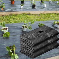 Perforiertes Unkrautvlies aus Polypropylen mit Pflanzlöchern,Perforiertes Unkrautvlies aus Polypropylen mit Pflanzlöchern