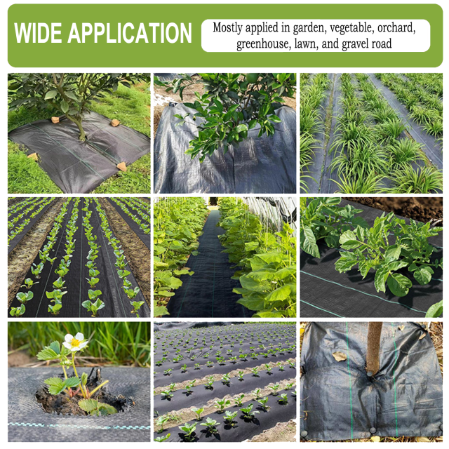 Perforiertes Unkrautvlies aus Polypropylen mit Pflanzlöchern,Perforiertes Unkrautvlies aus Polypropylen mit Pflanzlöchern