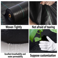 Perforiertes Unkrautvlies aus Polypropylen mit Pflanzlöchern,Perforiertes Unkrautvlies aus Polypropylen mit Pflanzlöchern