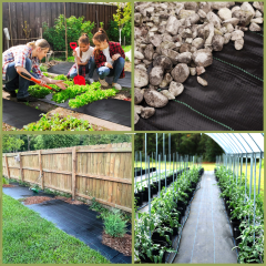 Profesjonalna agrowłóknina igłowana z ochroną UV,Profesjonalna agrowłóknina igłowana z ochroną UV