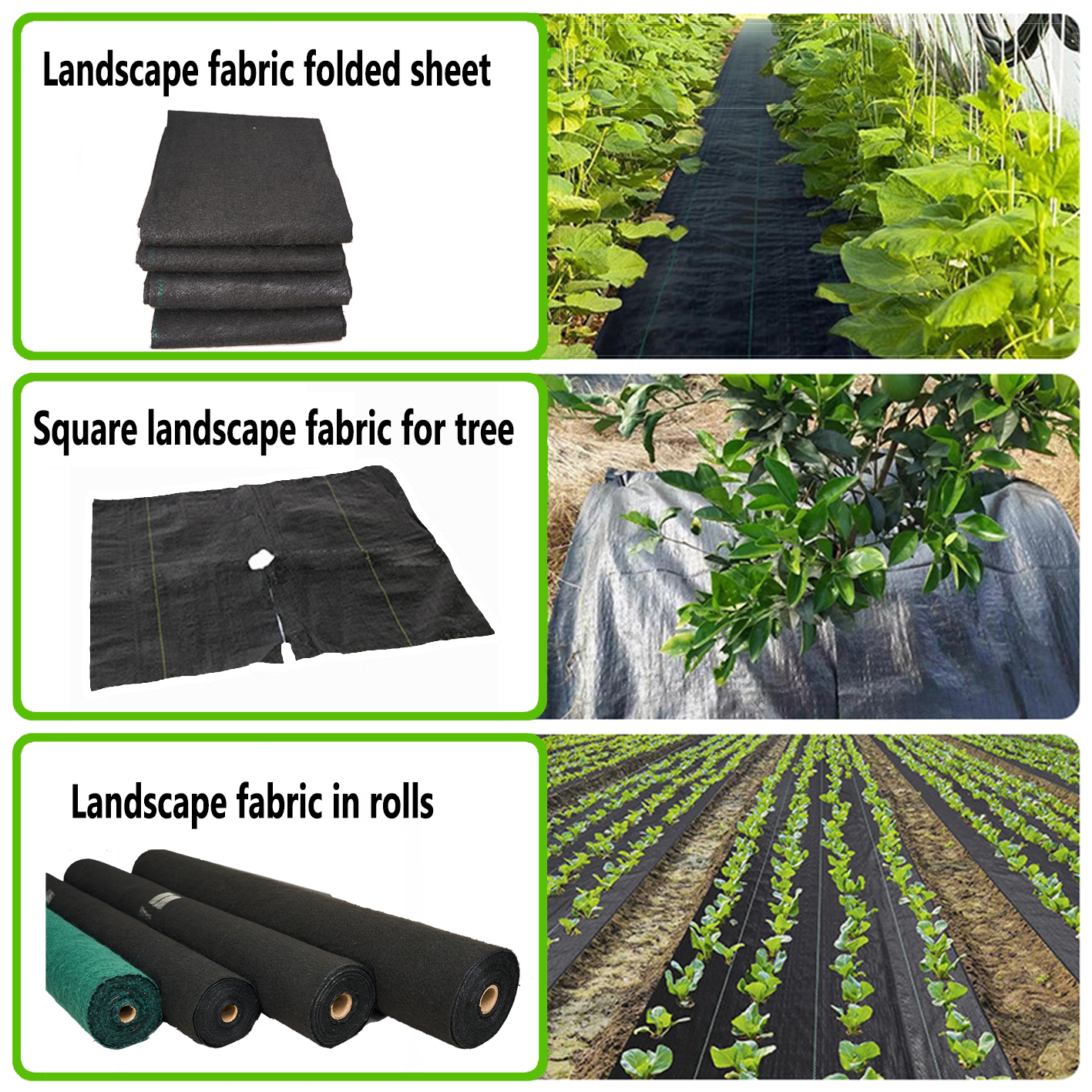 Tkanina rolnicza w rolkach i arkuszach składanych