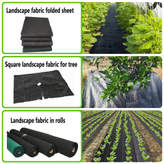 Profesjonalna agrowłóknina igłowana z ochroną UV,Profesjonalna agrowłóknina igłowana z ochroną UV