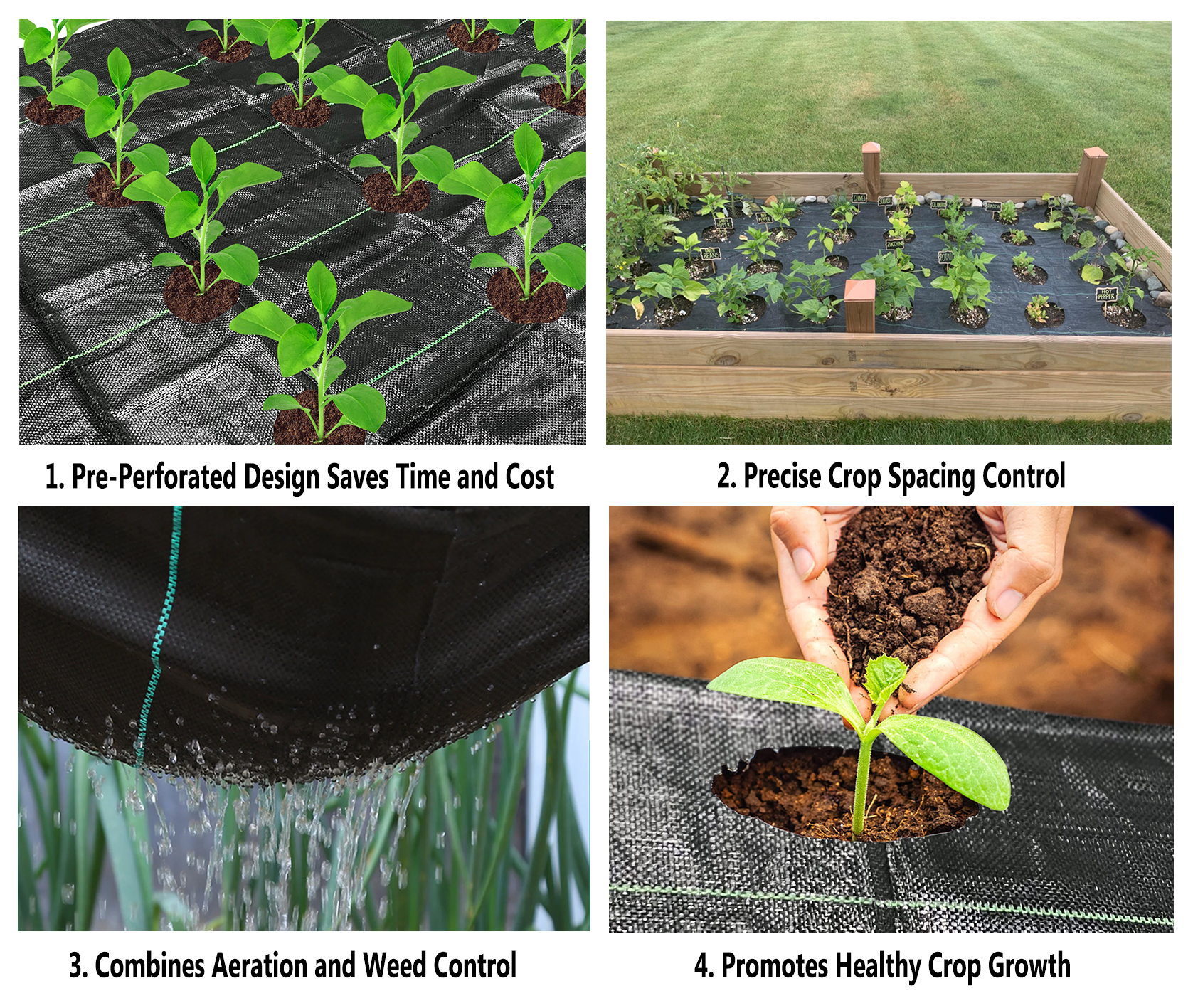 PP Woven Weed Mat with Planting Holes Production Process