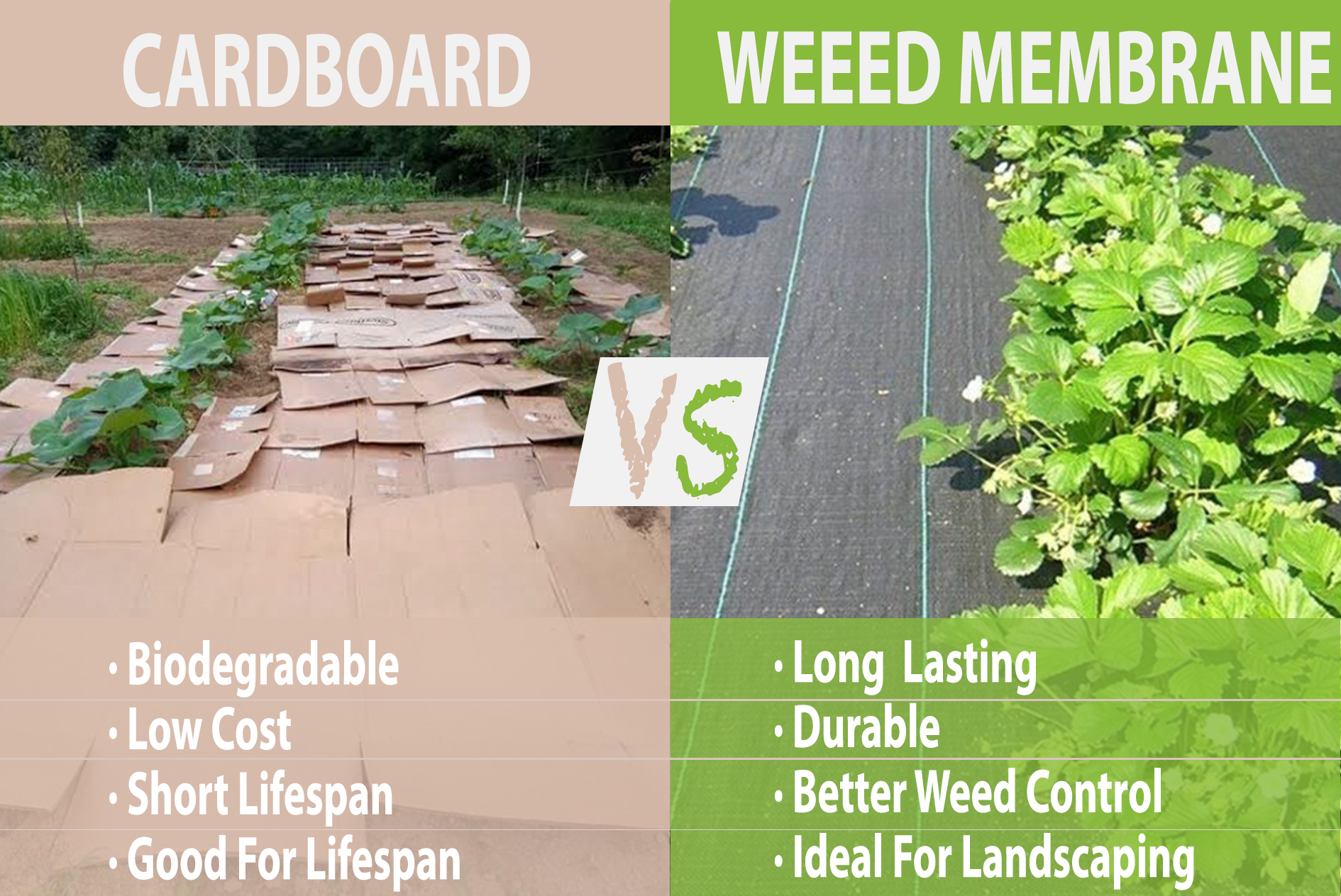 Karton do kontroli chwastów vs membrana przeciwchwastowa: zalety i wady