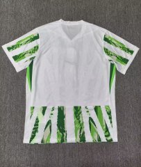 2025 Nigeria home jersey S-4XL