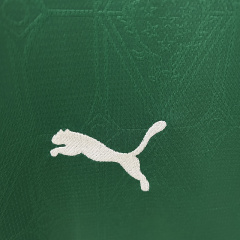 2025-2026 Palmeiras home jerseys