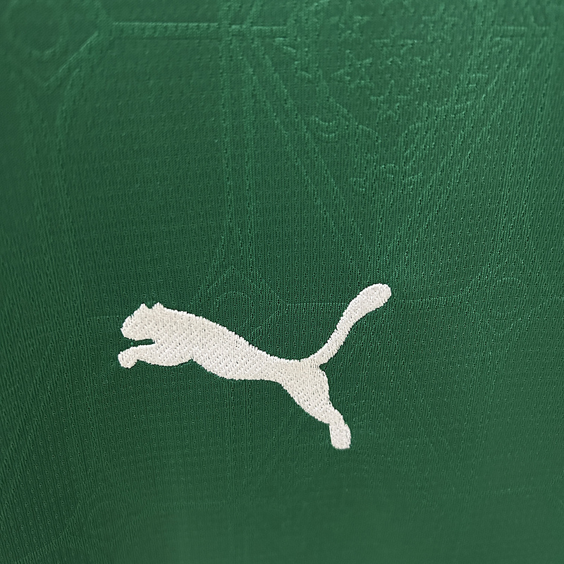 2025-2026 Palmeiras home jerseys
