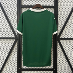 2025-2026 Palmeiras home jerseys