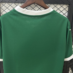 2025-2026 Palmeiras home jerseys