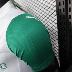 2025-2026 Palmeiras away jerseys Player version