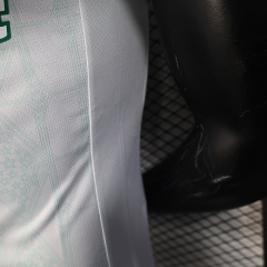 2025-2026 Palmeiras away jerseys Player version