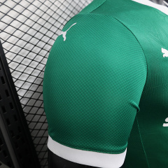 2025-2026 Palmeiras home jerseys Player version