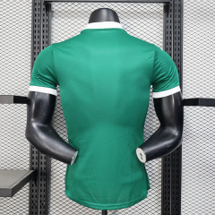 2025-2026 Palmeiras home jerseys Player version