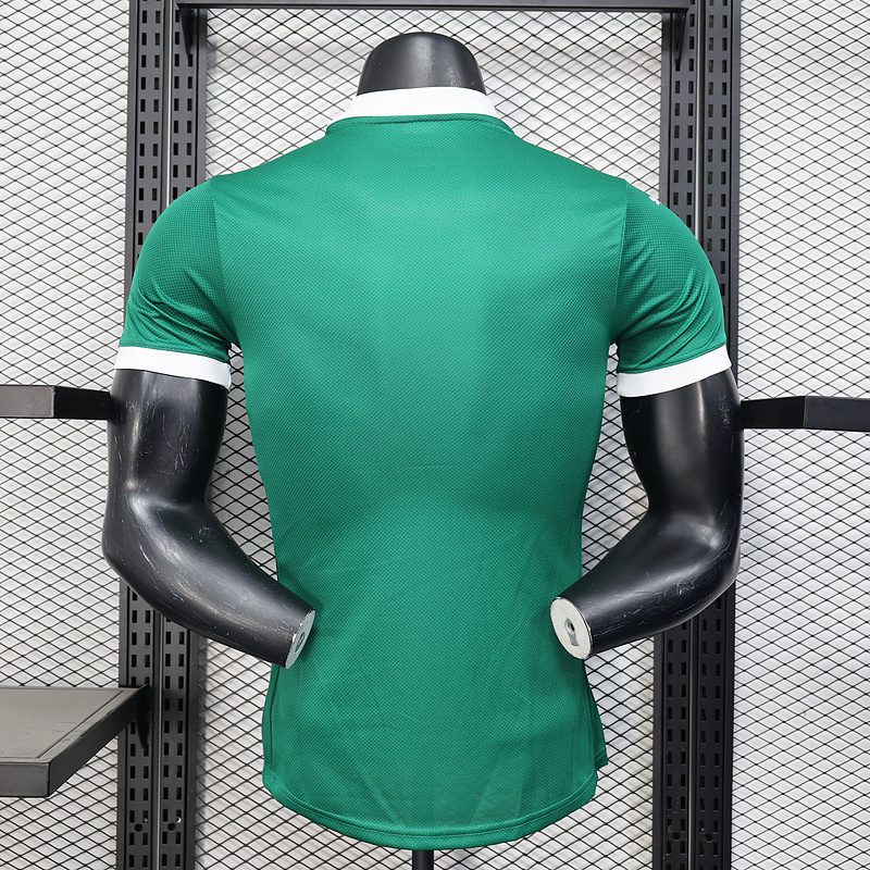 2025-2026 Palmeiras home jerseys Player version