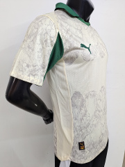 2025-2026 Palmeiras third jerseys Player version