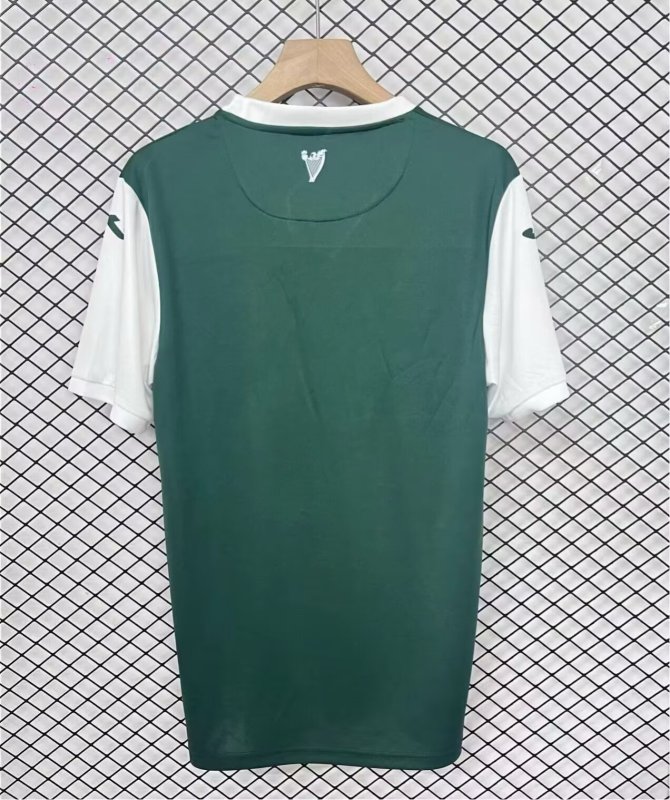 2025-2026 home  Hibernian Soccer Jerseys S-4XL