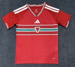 2026-2027 Wales home Soccer Jerseys S-4XL