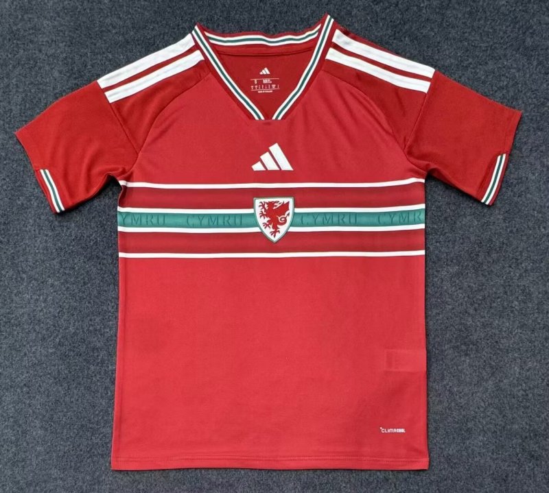 2026-2027 Wales home Soccer Jerseys S-4XL