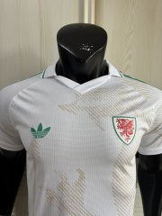2026 FIFA World Cup Wales away Player version