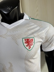 2026 FIFA World Cup Wales away Player version