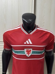 2026 FIFA World Cup Wales home Player version