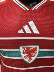 2026 FIFA World Cup Wales home Player version