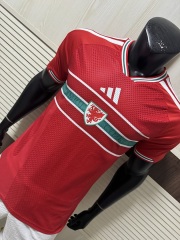 2026 FIFA World Cup Wales home Player version