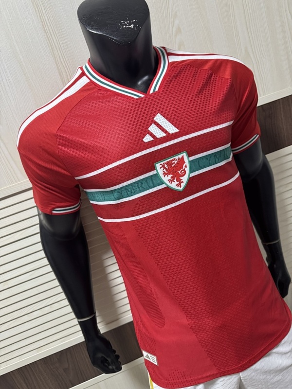 2026 FIFA World Cup Wales home Player version