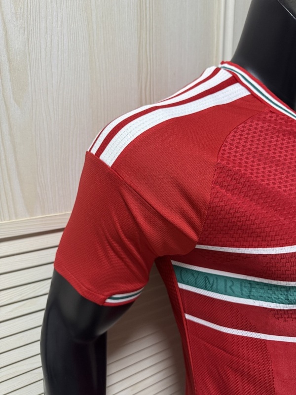 2026 FIFA World Cup Wales home Player version