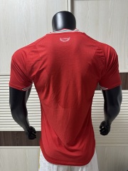 2026 FIFA World Cup Wales home Player version