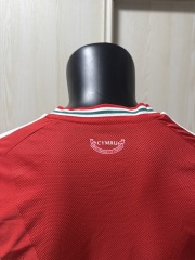 2026 FIFA World Cup Wales home Player version