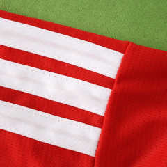 2026 FIFA World Cup Wales home Fan version