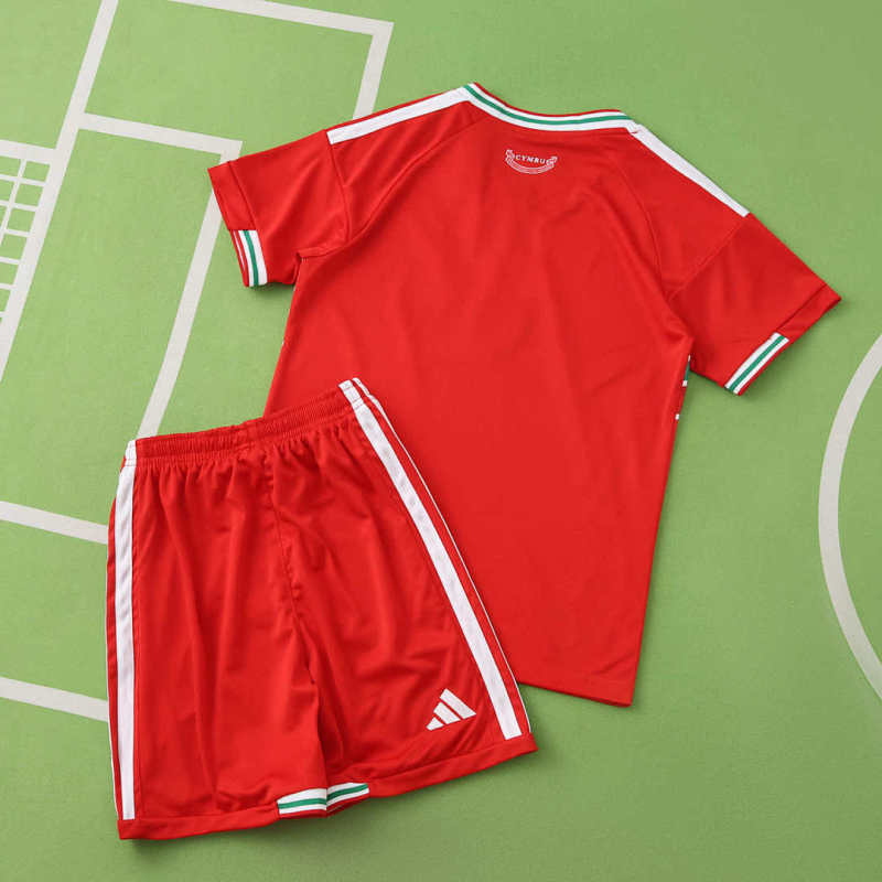 2026 FIFA World Cup Wales home Kids kit + free socks
