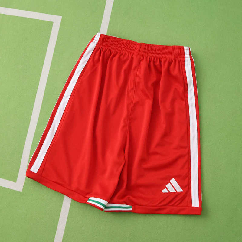 2026 FIFA World Cup Wales home Kids kit + free socks