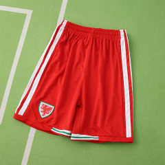 2026 FIFA World Cup Wales home Kids kit + free socks
