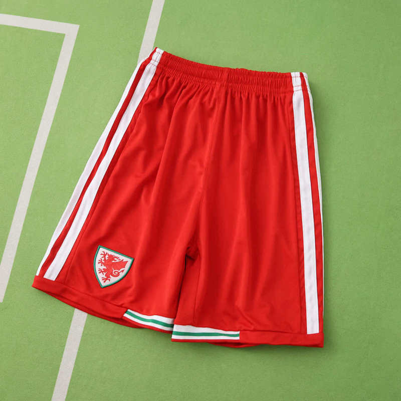 2026 FIFA World Cup Wales home Kids kit + free socks
