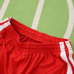 2026 FIFA World Cup Wales home Kids kit + free socks