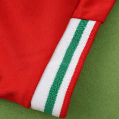 2026 FIFA World Cup Wales home Kids kit + free socks