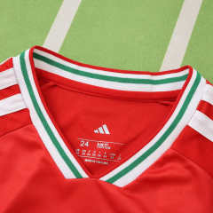 2026 FIFA World Cup Wales home Kids kit + free socks