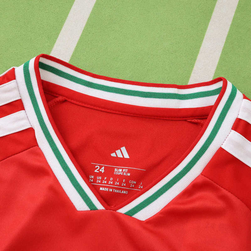 2026 FIFA World Cup Wales home Kids kit + free socks