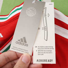 2026 FIFA World Cup Wales home Kids kit + free socks