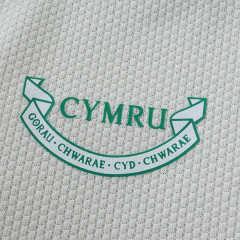 2026 FIFA World Cup Wales away Fan version