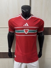 2026 FIFA World Cup Wales home Player version