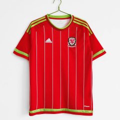 2015 home Wales retro Fan version