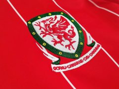 2015 home Wales retro Fan version