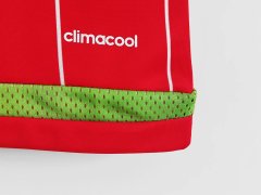 2015 home Wales retro Fan version