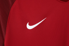 2016 home Portugal retro Fan version