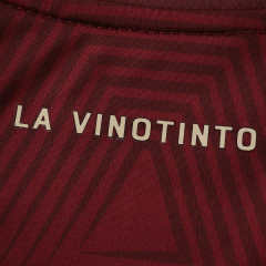 2026 FIFA World Cup Venezuela Villa home Kids kit free socks