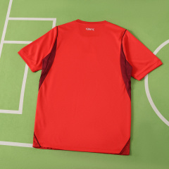 2026 FIFA World Cup Türkiye away Fan version