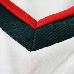2026 FIFA World Cup Mexico away Long sleeved Fan version